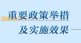 重要政策举措及实施效果