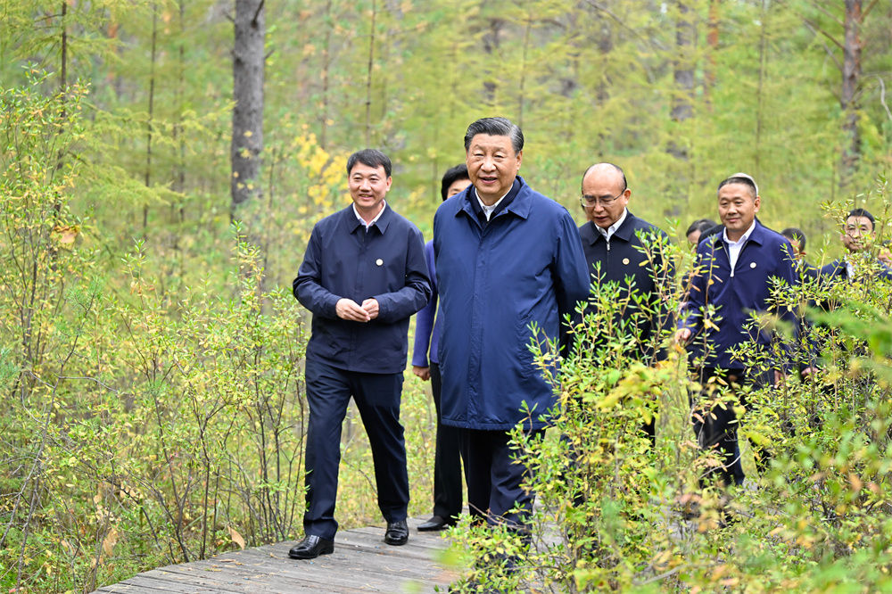 9月6日至8日，中共中央总书记、国家主席、中央军委主席习近平在黑龙江考察。这是6日下午，习近平在大兴安岭地区漠河市漠河林场自然林区考察。新华社记者 殷博古 摄.jpg