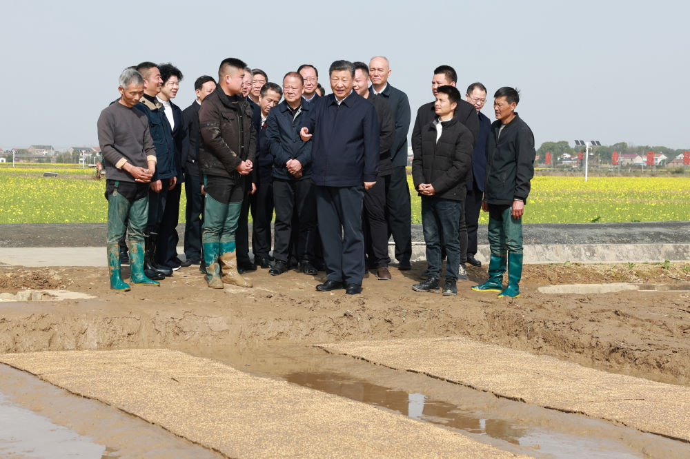 3月18日至21日，中共中央总书记、国家主席、中央军委主席习近平在湖南考察。这是19日下午，习近平在常德市鼎城区谢家铺镇港中坪村走进田间，察看秧苗培育和春耕备耕进展。新华社记者 王晔 摄.jpg