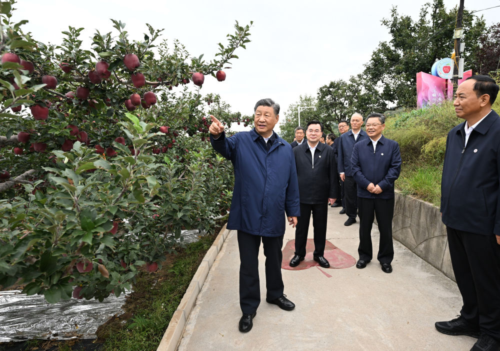新华社记者 谢环驰 摄4.jpg