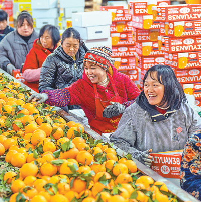 本报记者  宋豪新摄.jpg