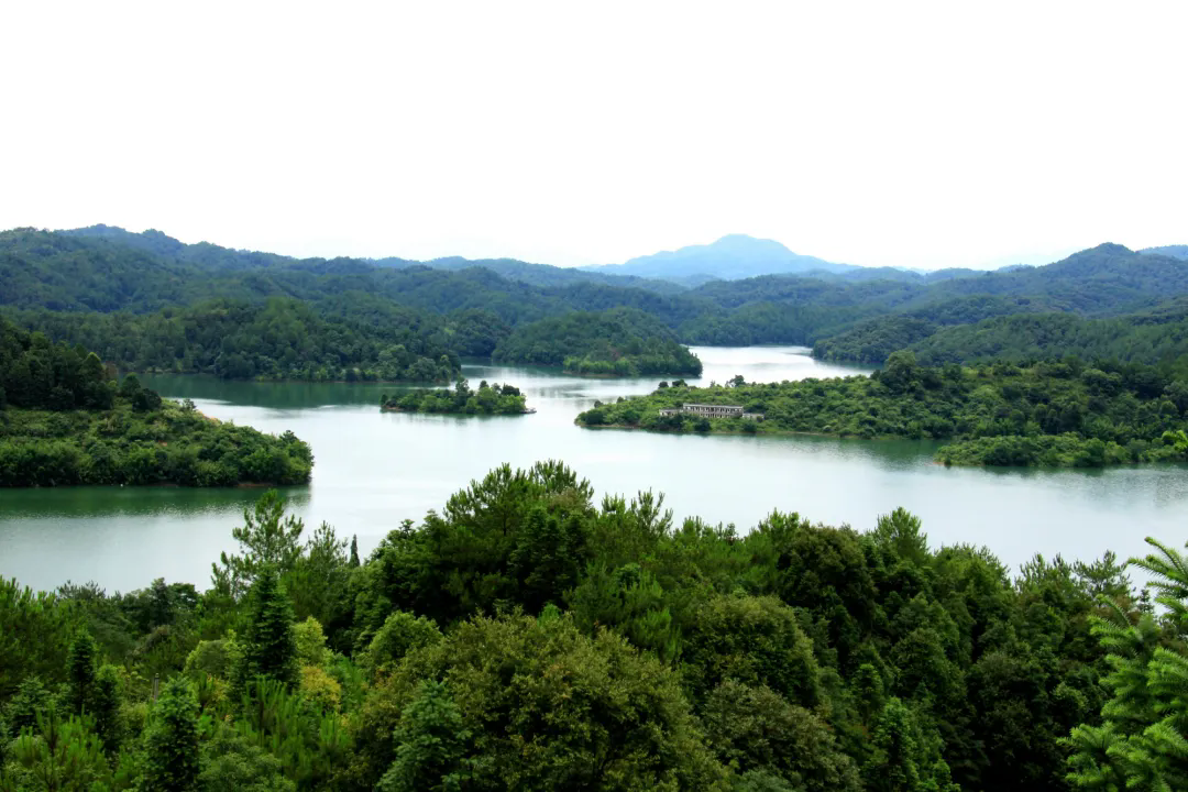2013年6月，生态优美的平远县河头镇黄田水库（平远县林业局供图）.webp.png