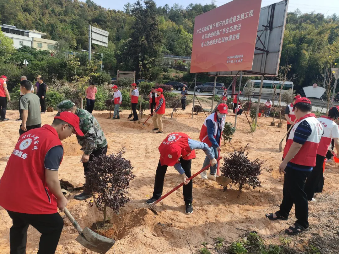2024年，平远县大力实施“百县千镇万村高质量发展工程”，扎实推进绿美广东生态建设。图为平远县组织开展义务植树活动（平远县中行镇党政办供图）.webp.png