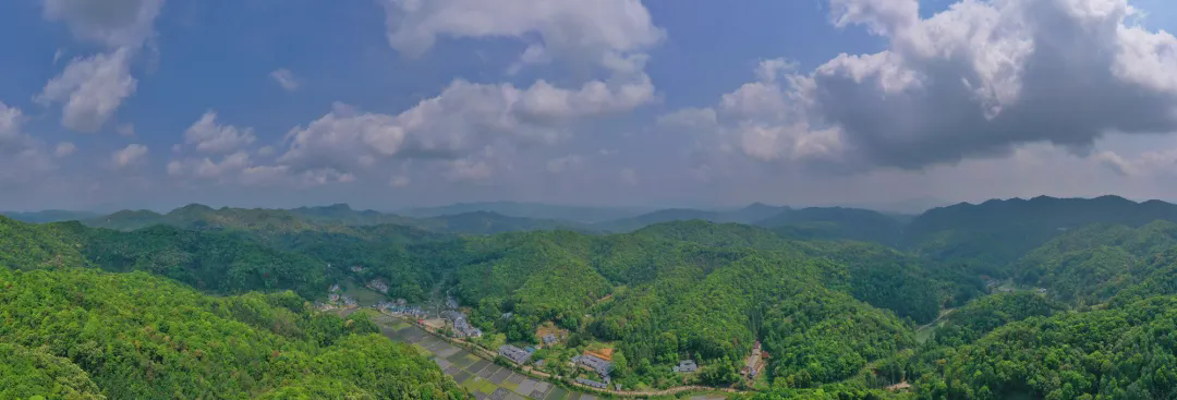 平远县是全国绿化模范县、全国森林旅游示范县，图为2023年仁居镇、差干镇一带林相（平远县委办供图）.webp.png