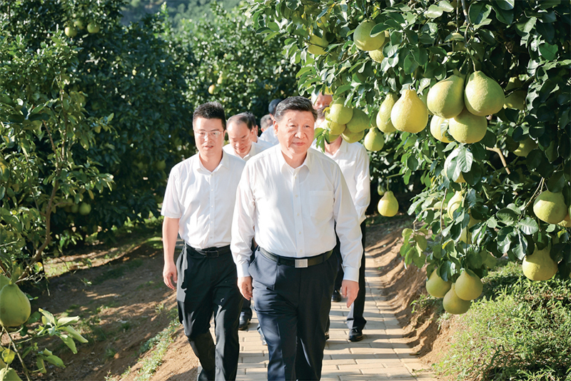 新华社发 肖翊 摄.jpg