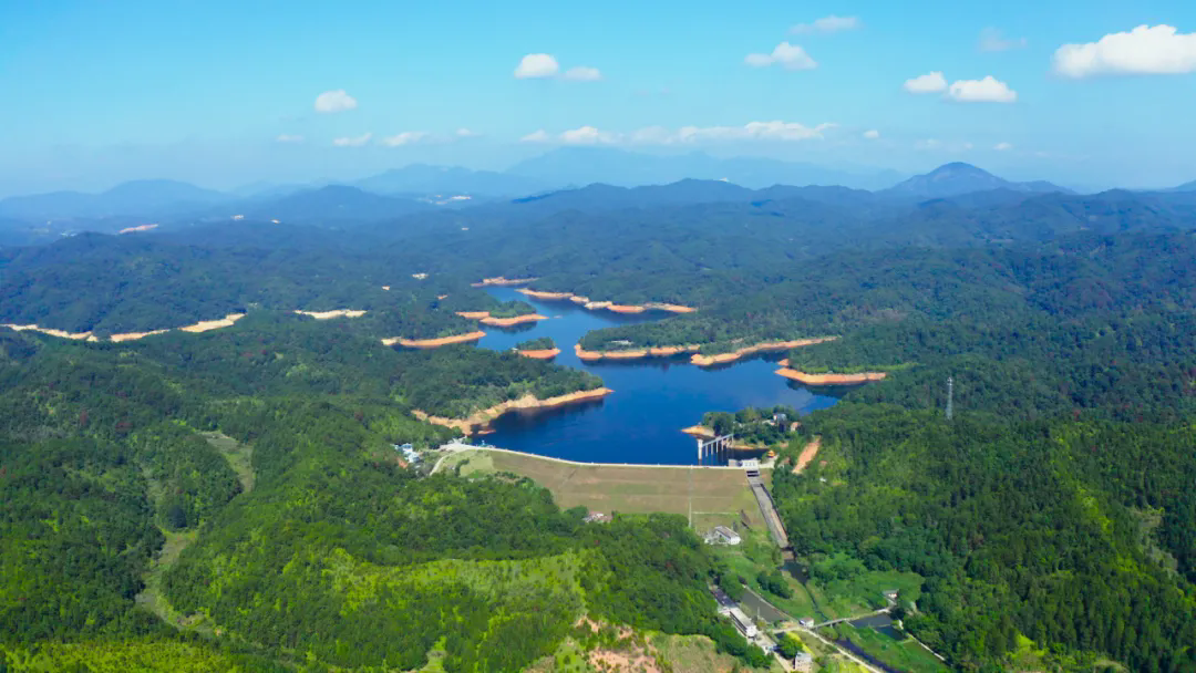 龙文—黄田省级自然保护区.webp.png