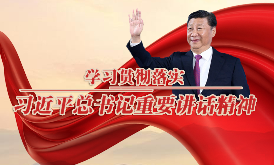学习贯彻习近平总书记重要讲话精神