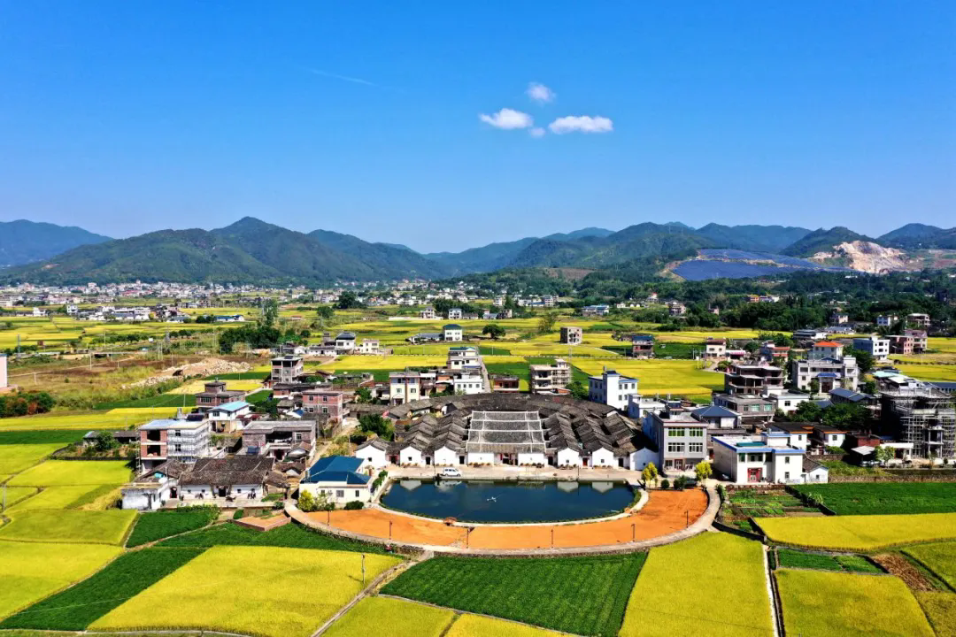 东石镇凉庭村丰泰堂(姚雁 摄).webp.png