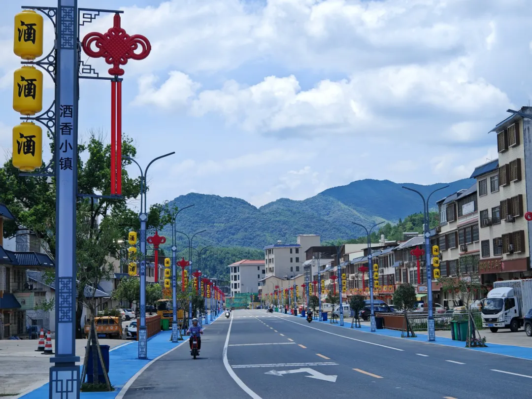 八尺镇主街道（八尺镇人民政府供图）.webp.png